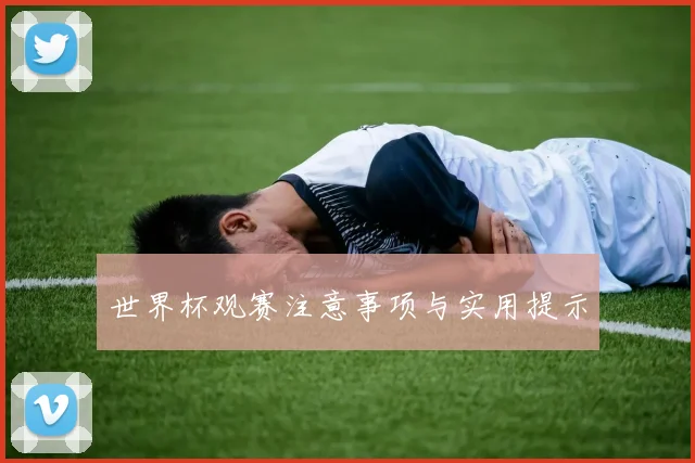 世界杯观赛注意事项与实用提示