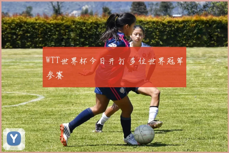 WTT世界杯今日开打 多位世界冠军参赛