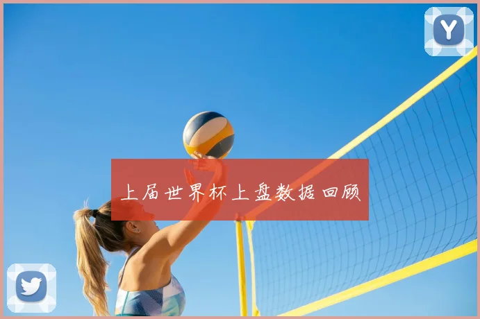上届世界杯上盘数据回顾