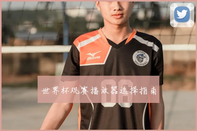 世界杯观赛播放器选择指南