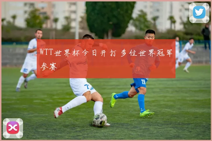 WTT世界杯今日开打 多位世界冠军参赛