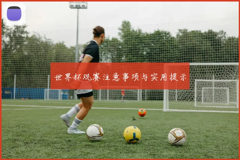 世界杯观赛注意事项与实用提示